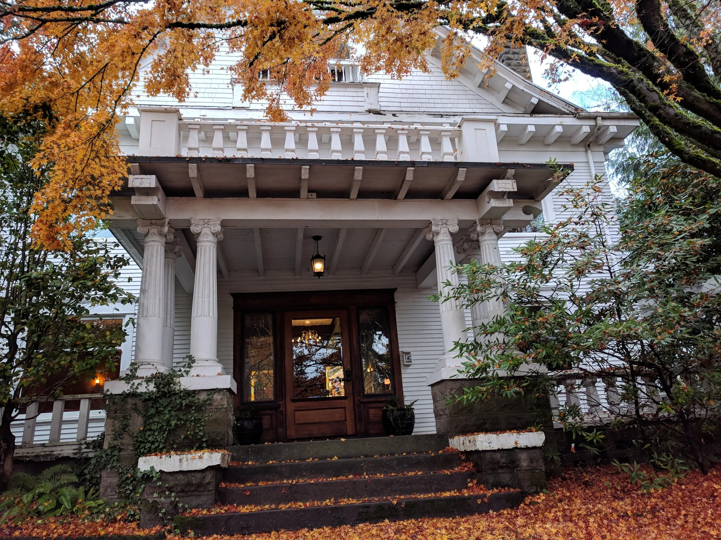 Gallery photo