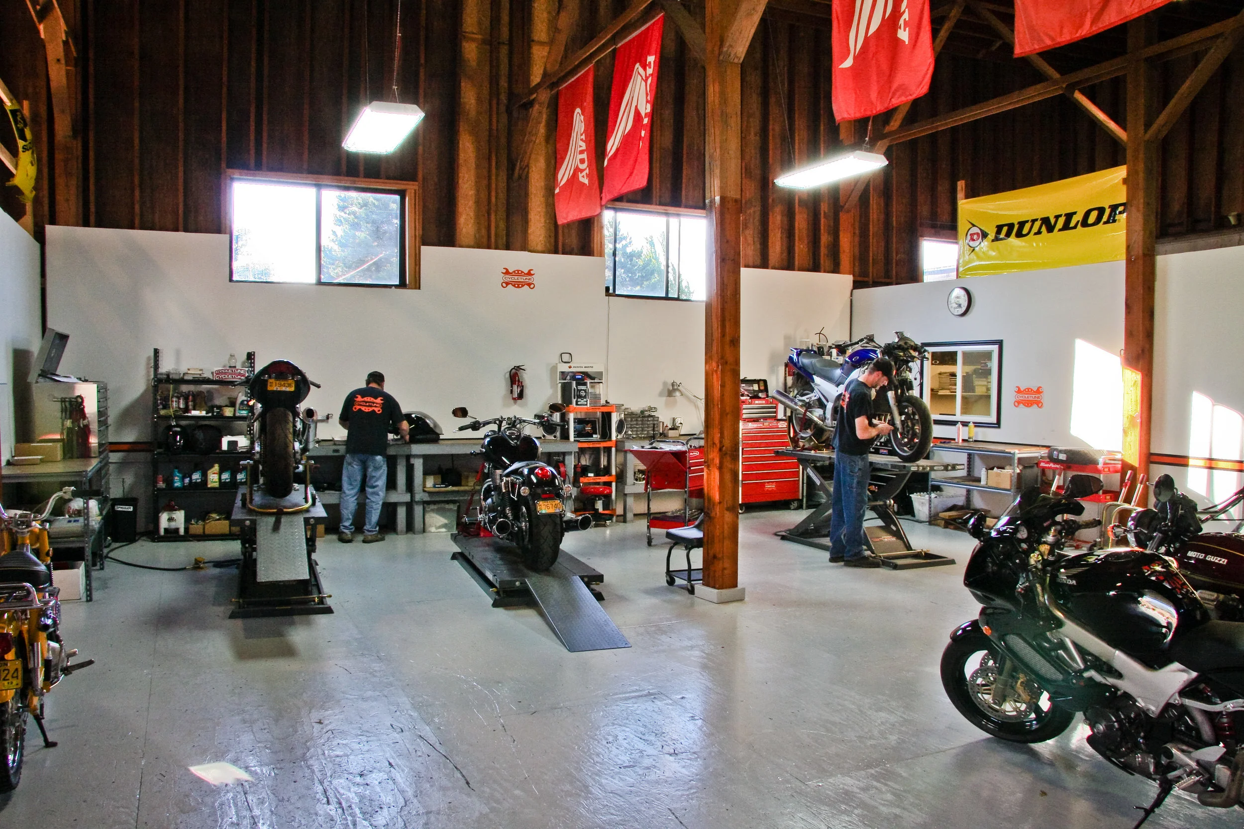 Gallery photo