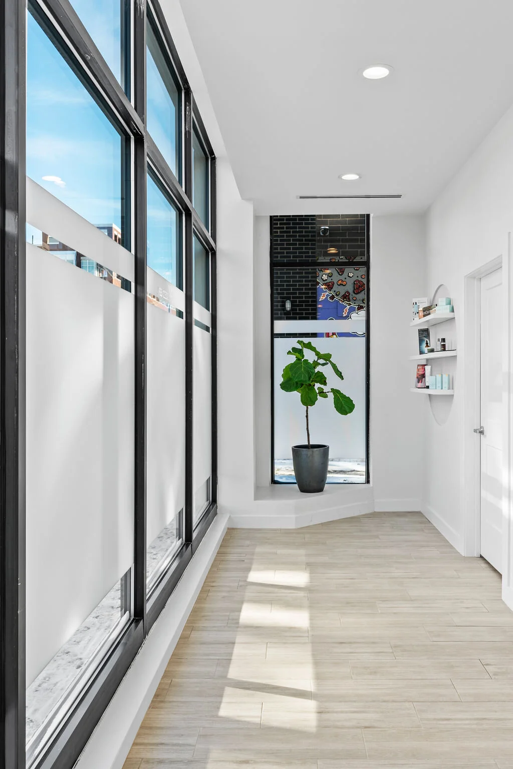 Gallery photo