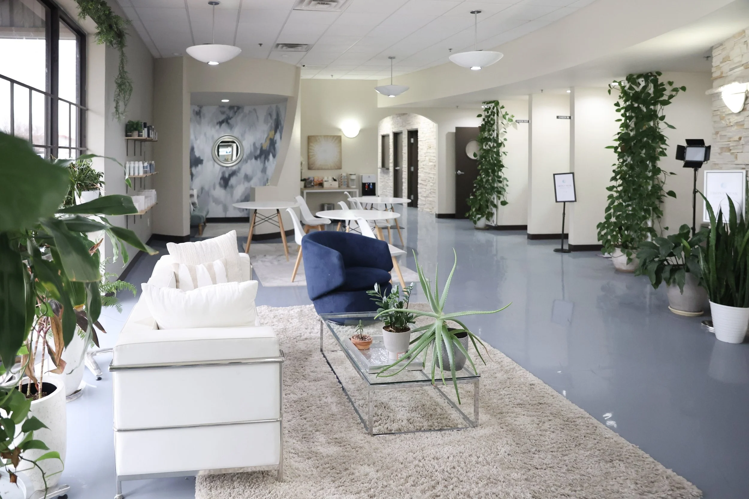 Gallery photo