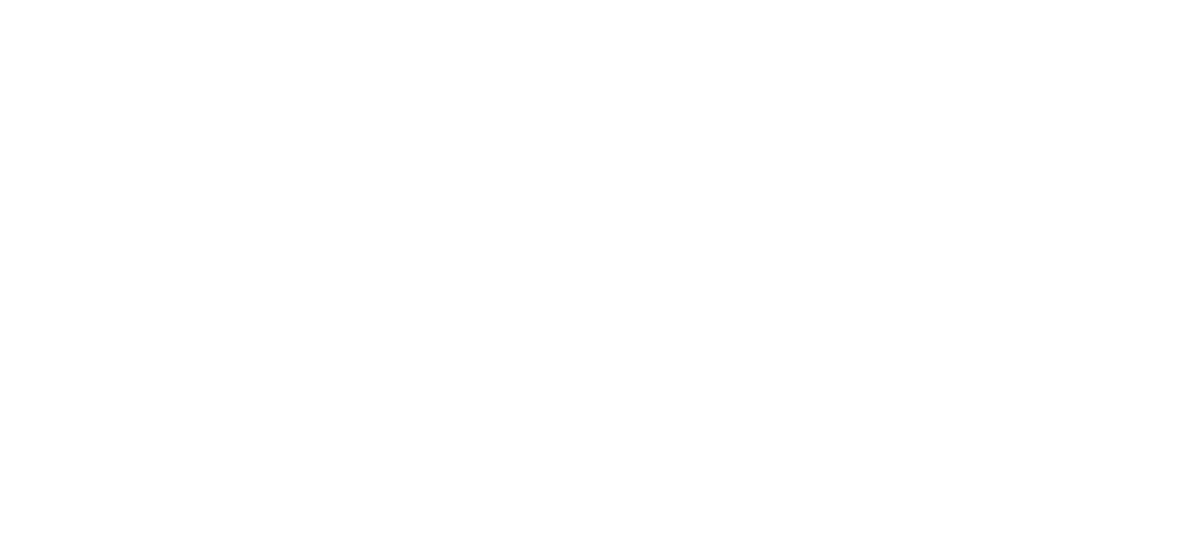Bella Santé Spas logo