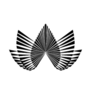 Lily Med Spa logo
